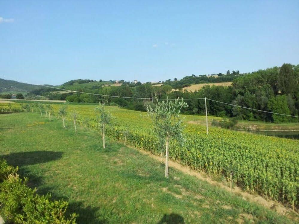 Agriturismo La Collina Del Sole Coltavolino エクステリア 写真